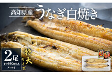 吉川水産 高知県産うなぎの白焼き 特大サイズ(180～210g)×2尾 タレ付き yw-0044
