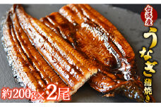 フジ物産 養殖うなぎ蒲焼き 約200g×2尾(台湾産鰻) fb-0016