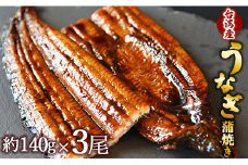 フジ物産 養殖うなぎ蒲焼き 約140g×3尾(台湾産鰻) fb-0014