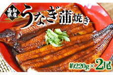 うなぎ蒲焼き 国産 2尾✕約220g 鰻 フジ物産 国産 養殖 かばやき 高知県産鰻 fb-0140
