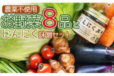 農薬不使用のお野菜8品とにんにく味噌のセット pr-0011