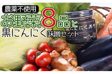 農薬不使用のお野菜8品と黒にんにく味噌のセット pr-0012