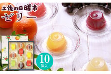 菓舗 浜幸　土佐の日曜市ゼリー(７種) 10個入り　A-385