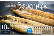 【国産】白焼き うなぎ 10尾×中サイズ(120～140g) 鰻 蒲焼きタレ付き 冷凍 - 高知県産 エコ包装 加工食品 加工品 惣菜 個包装 お手軽 おかず yw-0048