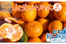 訳あり みかん 5kg 山北みかん 家庭用 露地(Ｓ～Ｍ) 高橋農園 - 小傷あり 送料無料 露地栽培 柑橘 果物 フルーツ ミカン 蜜柑 期間限定 季節限定 家庭用 国産 特産品 高橋農園 高知県 香南市 th-0015