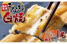 吉川水産 高知県産うなぎの白焼特大サイズ(180～210g)×1尾 - タレ付き 自宅用エコ包装 鰻 国産 吉川水産 高知県 香南市 【冷凍】 yw-0042