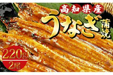 【国産】うなぎ蒲焼 高知県産養殖うなぎ蒲焼き 2尾(合計約440g) ss-0043