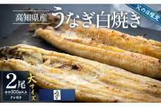 吉川水産 高知県産うなぎの白焼き 大サイズ 2尾(合計300g以上) タレ付き 化粧箱入り - 鰻 ウナギ 有頭 国産 ギフト お歳暮 御歳暮 贈答用 贈り物 【冷凍】 yw-0045