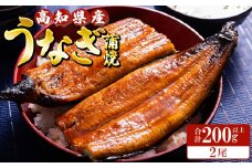 高知県産養殖うなぎ蒲焼 100～120g 2尾セット(合計200g以上) ss-0044