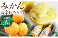 フルーツ 定期便3回 みかん お楽しみセット(みかん3kg  みかんジュース2本 土佐文旦5kg) 果物 柑橘 ミカン 文旦 ぶんたん ポンカン ストレートジュース 特産品 Wms-0056