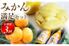 フルーツ 定期便3回 みかん 満足セット(みかん4kg みかんジュース2本 土佐文旦10kg) 果物 柑橘 ミカン 文旦 ぶんたん ポンカン ストレートジュース 特産品 Wms-0058