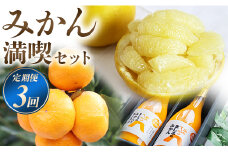 フルーツ 定期便3回 満喫セット(みかん10kg みかんジュース2本 土佐文旦10kg) 果物 柑橘 ミカン 文旦 ぶんたん ポンカン ストレートジュース 特産品 Wms-0060