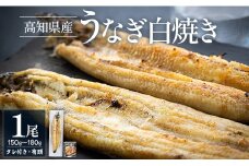 高知県産うなぎの白焼き 150～180ｇ×1尾 - エコ包装 国産 うなぎ 白焼き 鰻 冷凍 高知 yw-0113