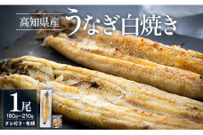 高知県産うなぎの白焼き 180～210g×1尾 - エコ包装 国産 うなぎ 白焼き 鰻 冷凍 高知 yw-0062