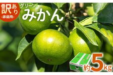 家庭用 訳あり グリーンみかん 約5kg - 送料無料 ミカン 蜜柑 柑橘 果実 ご自宅用 旬 かなや農園 合同会社Benifare 柑橘類 すっぱい 早生 わせ 爽やか さわやか さっぱり わけあり 訳アリ 特産品 高知県 香南市 be-0067