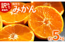 みかん 極早生 5kg 家庭用 訳あり 極早生みかん 約5kg - 家庭用 フルーツ みかん 柑橘 be-0068