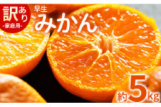 家庭用 訳あり 早生みかん 約5kg（Lサイズ） - 家庭用 フルーツ みかん 柑橘 be-0071