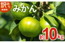 家庭用 訳あり グリーンみかん 約10kg 家庭用 フルーツ みかん 柑橘 be-0069