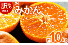 みかん 早生 約10kg 家庭用 訳あり 早生みかん - フルーツ みかん 柑橘 be-0072