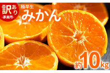 みかん 10kg 極早生 家庭用 訳あり 極早生みかん 約10kg - 家庭用 フルーツ みかん 柑橘 be-0070