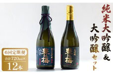6回定期便 純米大吟醸＆大吟醸セット 720ml各1本（合計12本） - お酒 純米酒 日本酒 地酒 飲み比べ 龍奏 鶯寿 宅飲み お祝い 高木酒造株式会社 高知県 香南市【冷蔵】 Wgs-0143