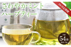さわやかミントハーブティー 合計54袋 3回定期便 - お茶 飲み物 ティーバッグ 茶葉 ミント ハーブ Wgr-0074