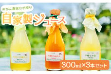 みかん農家の手搾り自家製ジュース(300ml) 3本セット - 山北みかん 小夏 水晶文旦 果汁 飲料 国産 詰め合わせ ２倍濃縮 炭酸割り eh-0032