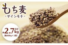 【高知県産もち麦】もち麦(ダイシモチ) 合計2.7kg - もちむぎ モチムギ 香南市産 食物繊維 ミネラル 豊富 のし もち麦 国産 特産品 yr-0065