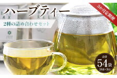 3か月定期便 ブレンドハーブティー2種の詰め合わせセット 合計54袋 - お茶 ティーバッグ 茶葉 レモンミントリラックス ジンジャーリフレッシュ ハーブ リラックス Wgr-0116