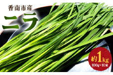 生産量日本一香南市のニラ 1kg - ニラ 香南市産 にら 朝採れ 産地直送 香味野菜 ニラ on-0010