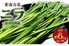 生産量日本一香南市のニラ 1kg 6ヶ月定期便 合計6kg - ニラ 香南市産 にら 朝採れ 産地直送 香味野菜 ニラ Won-0016