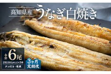 【3カ月定期便】高知県産鰻の白焼き130～150ｇ×2尾 合計6尾 エコ包装 - 鰻 ウナギ 有頭 つまみ ご飯のお供 たれ 簡易包装 Wyw-0071