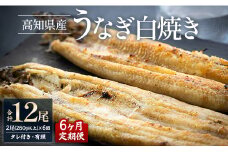 【6カ月定期便】高知県産鰻の白焼き130～150ｇ×2尾 合計12尾 エコ包装 - 鰻 ウナギ 有頭 つまみ ご飯のお供 たれ 簡易包装 Wyw-0069