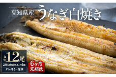 【6カ月定期便】高知県産鰻の白焼き180～210ｇ×2尾 合計12尾 エコ包装 - 鰻 ウナギ 有頭 つまみ ご飯のお供 たれ 簡易包装 Wyw-0073