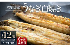 うなぎ 白焼き 【6カ月定期便】高知県産鰻の白焼き150～180ｇ×2尾 合計12尾 エコ包装 - 鰻 ウナギ 有頭 つまみ ご飯のお供 たれ 簡易包装 Wyw-0075