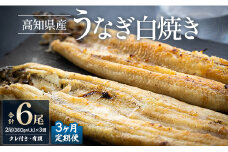 【3カ月定期便】高知県産鰻の白焼き180～210ｇ×2尾 合計6尾 エコ包装 - 鰻 ウナギ 有頭 つまみ ご飯のお供 たれ 簡易包装 Wyw-0079