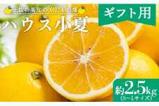 【2026年出荷分】【日向夏】ハウス小夏 2.5kg(ギフト用) 高知 土佐 こなつ 果物 フルーツ 土佐の高知のくだもの畑 【先行予約】 - ミカン みかん 蜜柑 柑橘 ハウス 果物 フルーツ こなつ 贈答用 贈り物 のし対応可 熨斗 国産 kd-0031