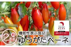 【2025年12月以降順次配送】機能性表示食品 ミニトマト ゆうがたベーネ 2kg - ミニトマト プチトマト フルーツトマト ギフト のし対応 高糖度 お歳暮 御歳暮 贈答用 贈り物 is-0014