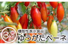 機能性表示食品 ミニトマト ゆうがたベーネ 3kg - ミニトマト プチトマト フルーツトマト ギフト のし対応 高糖度 お歳暮 御歳暮 贈答用 贈り物 is-0008