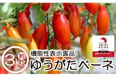 【先行受付】機能性表示食品 ミニトマト ゆうがたベーネ 3kg - ミニトマト プチトマト フルーツトマト ギフト のし対応 高糖度 お歳暮 御歳暮 贈答用 贈り物 is-0015