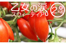 【高糖度】ミニトマト 高知 2kg 先行受付 乙女の涙 スウィーティア - ミニトマト プチトマト フルーツトマト ギフト のし対応 高糖度 お歳暮 御歳暮 贈答用 贈り物 クリスマス 年末年始 is-0012