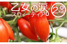 【先行受付】【高糖度】ミニトマト 高知 2kg 乙女の涙 スウィーティア - ミニトマト プチトマト フルーツトマト ギフト のし対応 高糖度 お歳暮 御歳暮 贈答用 贈り物 クリスマス 年末年始 is-0017