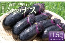 立仙農園 うちのナス 合計1.5kg - なす 茄子 なすび ナスビ 生鮮 野菜 やさい 朝採れ 新鮮 rs-0001