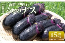立仙農園 うちのナス 合計5kg - なす 茄子 なすび ナスビ 生鮮 野菜 やさい 朝採れ 新鮮 rs-0003