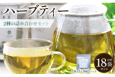 ブレンドハーブティー2種の詰め合わせセット - お茶 飲み物 ティーバッグ 茶葉 ミント レモングラス ローズマリー のし ギフト 贈り物 GreenBase 高知県 香南市 gr-0153