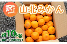 訳あり みかん 10kg 山北みかん ご家庭用 約10kg（80～120個程度） 山北みらい - 果物 フルーツ 柑橘類 温州みかん ミカン 蜜柑 甘い おいしい 美味しい 高知県 香南市 yk-0043