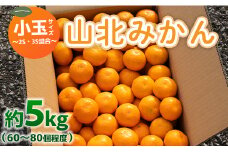 みかん 5kg ss 混合 山北みかん 小玉サイズ 2S・3S混合 約5kg（60～80個程度） 山北みらい - 果物 フルーツ 柑橘類 温州みかん ミカン 蜜柑 甘い おいしい 美味しい 高知県 香南市 yk-0044