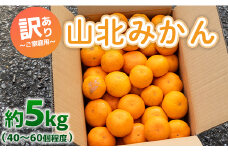 訳あり みかん 5kg 山北みかん ご家庭用 約5kg（約40～60個） 山北みらい - 果物 フルーツ 柑橘類 温州みかん ミカン 蜜柑 訳アリ わけあり 生産者応援 甘い おいしい 高知県 香南市 yk-0042