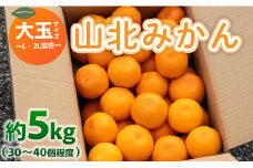 山北みかん 大玉サイズ L・2L混合 約5kg（30～40個程度） 山北みらい - 果物 フルーツ 柑橘類 温州みかん ミカン 蜜柑 甘い おいしい 美味しい 高知県 香南市 yk-0045