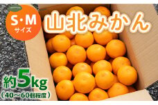 みかん 5kg（40～60個程度） 山北みかん S・Mサイズ 山北みらい 秀品 - 果物 フルーツ 柑橘類 温州みかん ミカン 蜜柑 甘い おいしい 美味しい 高知県 香南市 yk-0046